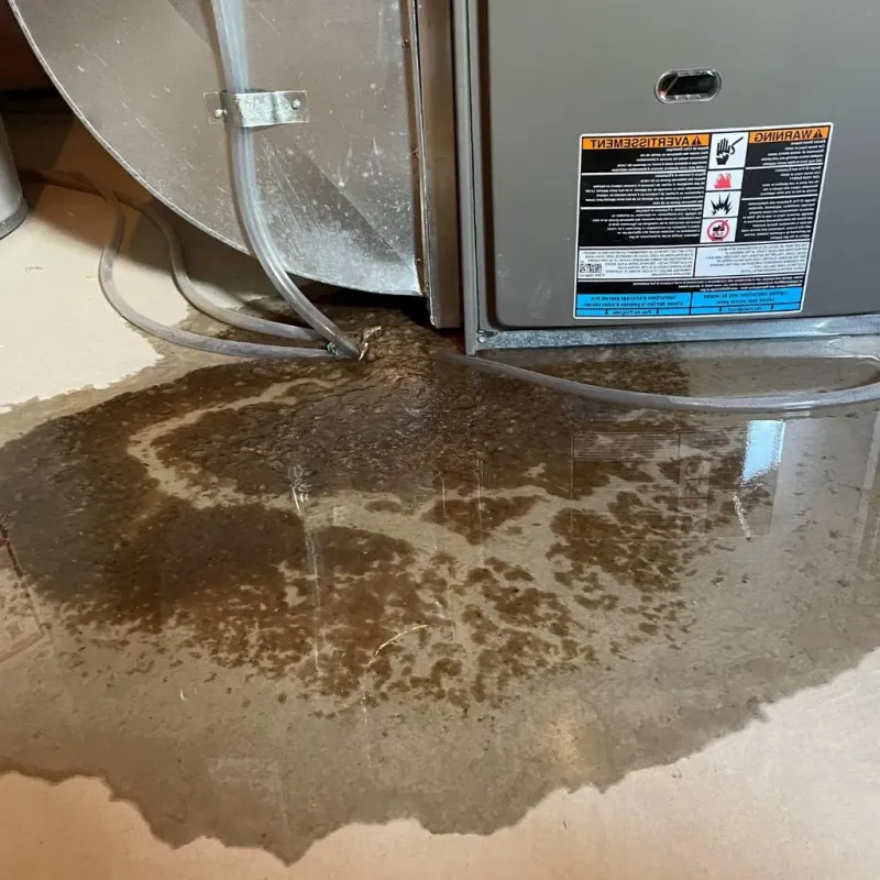 Pipe Burst and Leak Restoration in Union, NJ